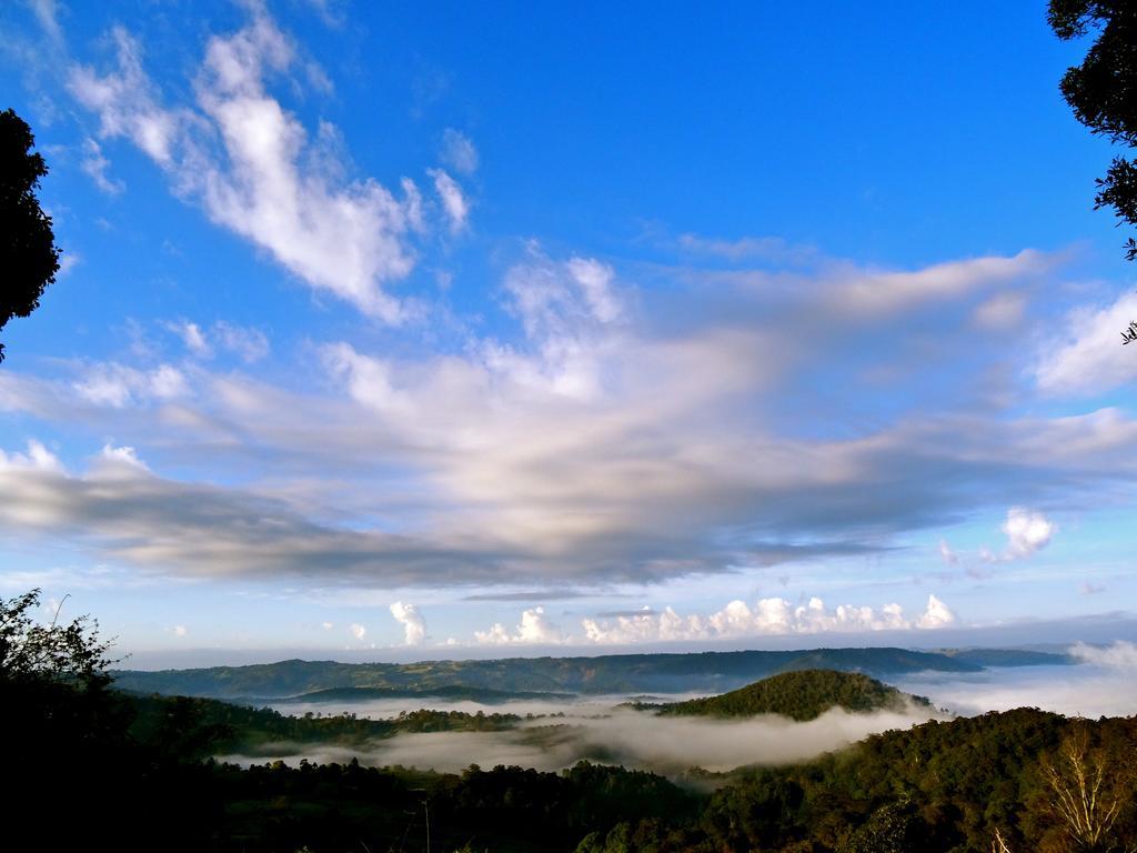 Maleny Luxury Cottages Værelse billede